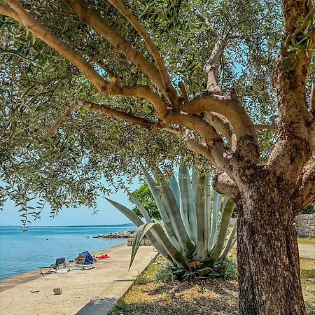 Apartamento Inka & Ana By The Sea *